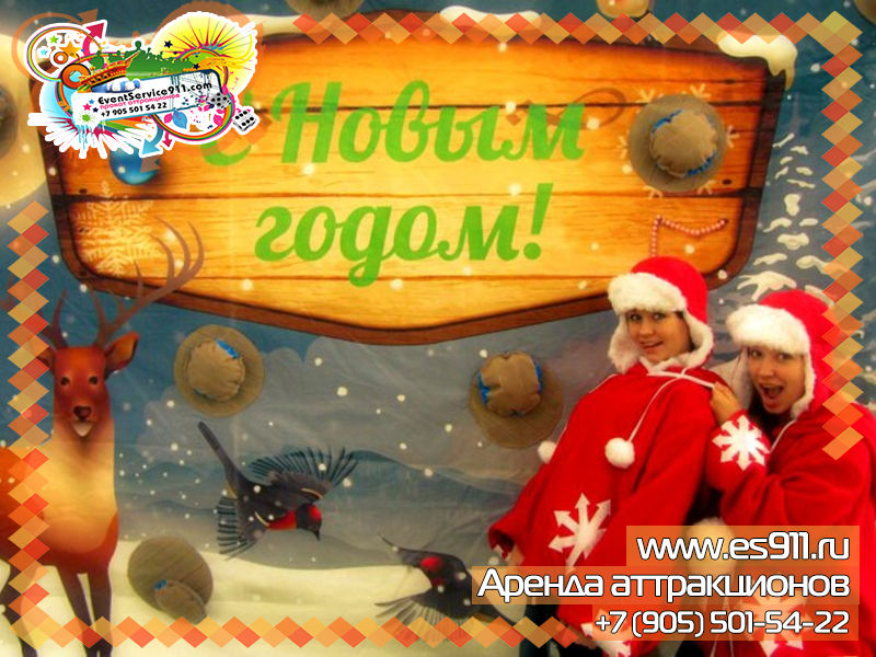 Тир Снежки